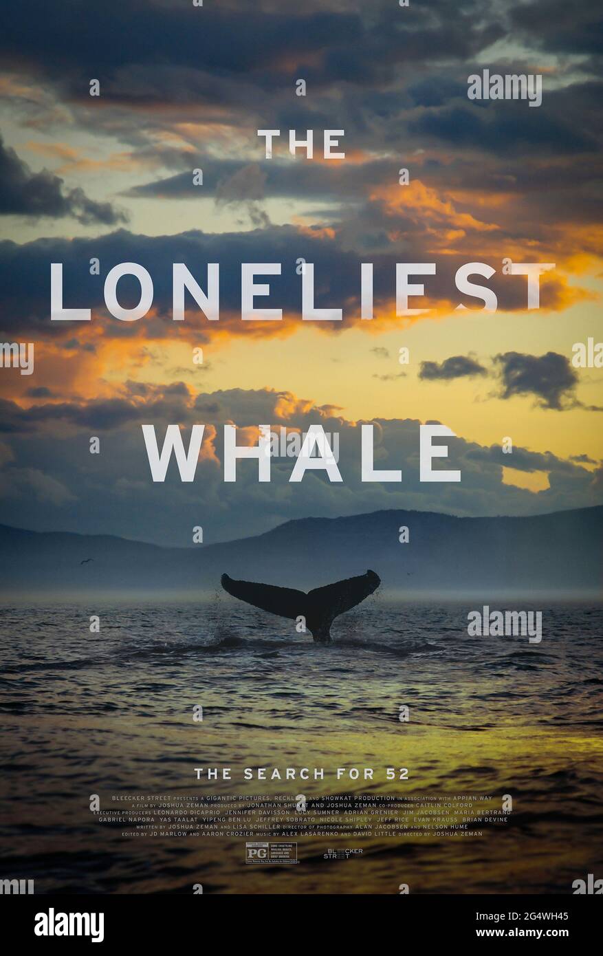 La balena più solitaria: The Search for 52 (2021) diretto da Joshua Zeman. Documentario su una balena solista che richiama a 52Hz una frequenza non ascoltata da altre balene. Foto Stock