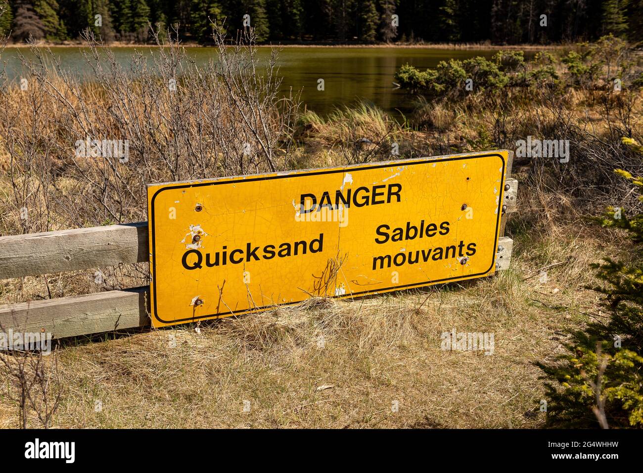 Primo piano di un segnale di pericolo di Quicksand Foto Stock