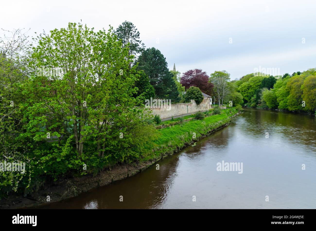 Fiume Coquet Riverbank a Warkworth, Northumberland Foto Stock