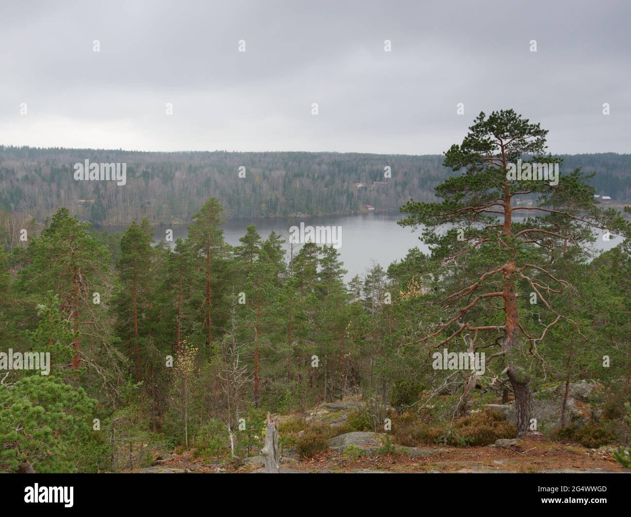 Paesaggio del Parco Nazionale Nuuksio vicino Helsinki, Finlandia, con uno dei suoi laghi Foto Stock