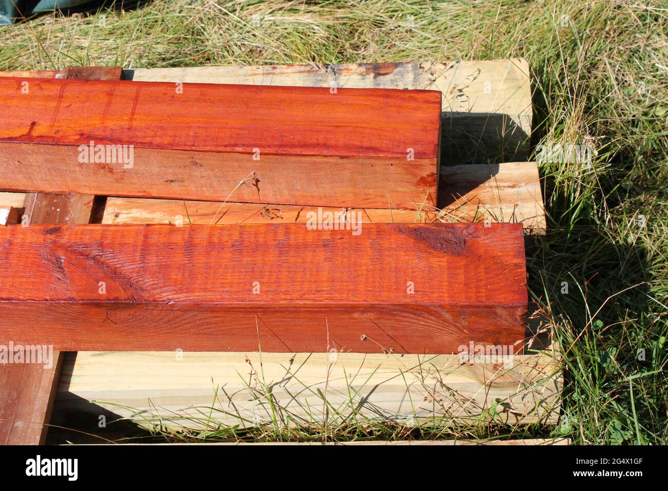 Olio di legno applicato a pali di legno di giardino Foto Stock