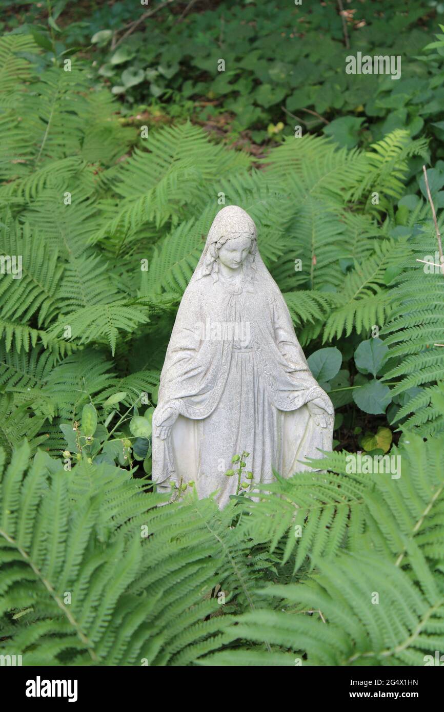 Una statua di Madre Maria tra i Ferni Foto Stock