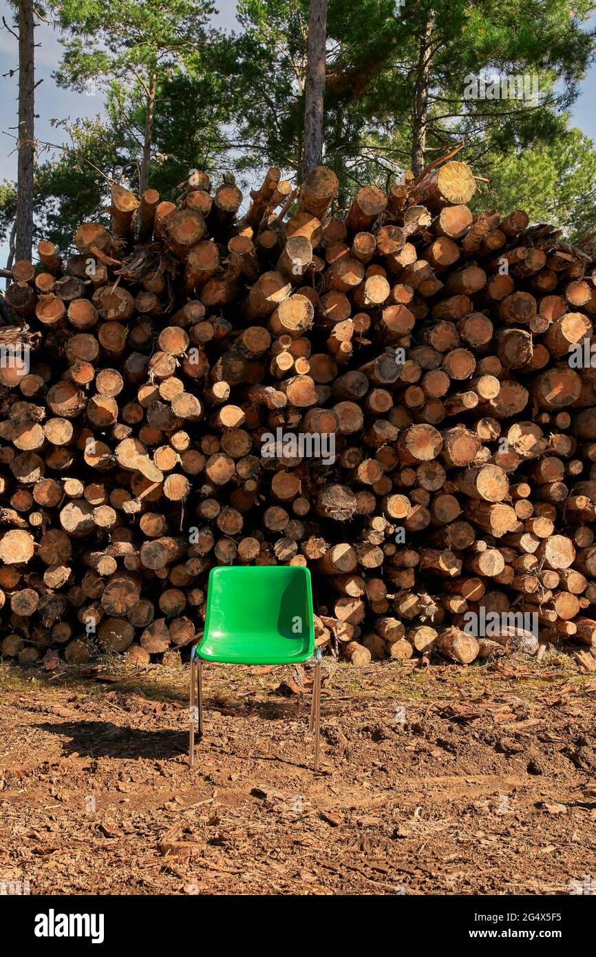 Sedia verde di fronte ai tronchi d'albero Foto Stock