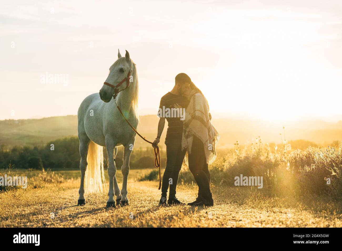 Coppia affettuosa in piedi con cavallo sul campo durante il tramonto Foto Stock