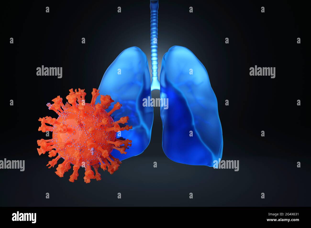 Infezione da virus COVID-19 e polmoni umani in 3D Foto Stock