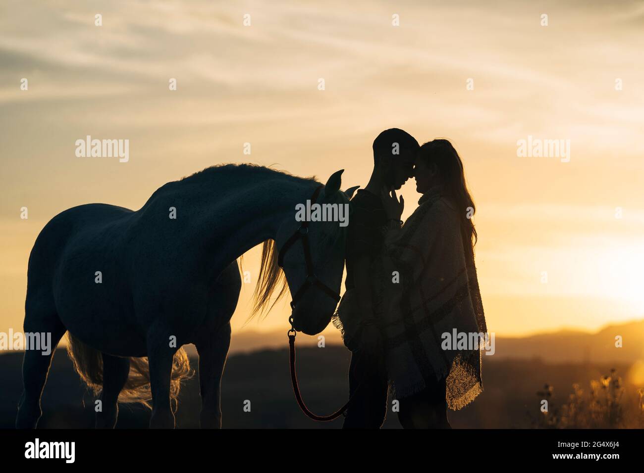 Romantica giovane coppia in piedi con cavallo durante il tramonto Foto Stock