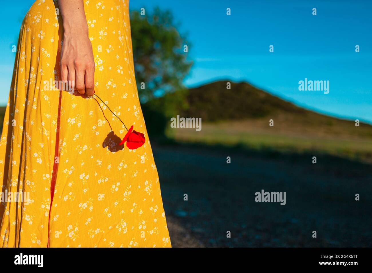 Donna in terrina gialla con fiore rosso papavero in giornata di sole Foto Stock