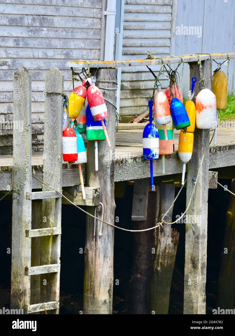 Un molo di legno intemperie appese con colorate boe di aragosta. Friendship, Maine, USA. Foto Stock