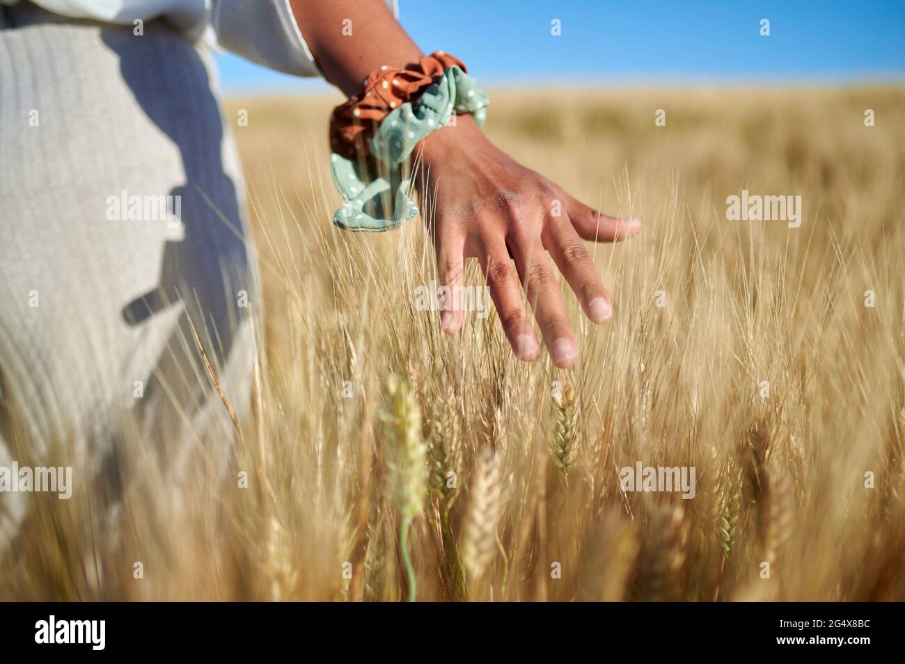 Giovane donna che tocca grano raccolto durante la giornata di sole Foto Stock