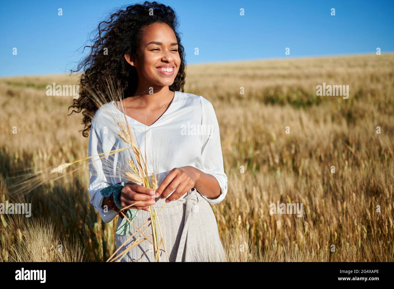 Giovane donna sorridente che tiene il grano raccolto sul campo durante la giornata di sole Foto Stock