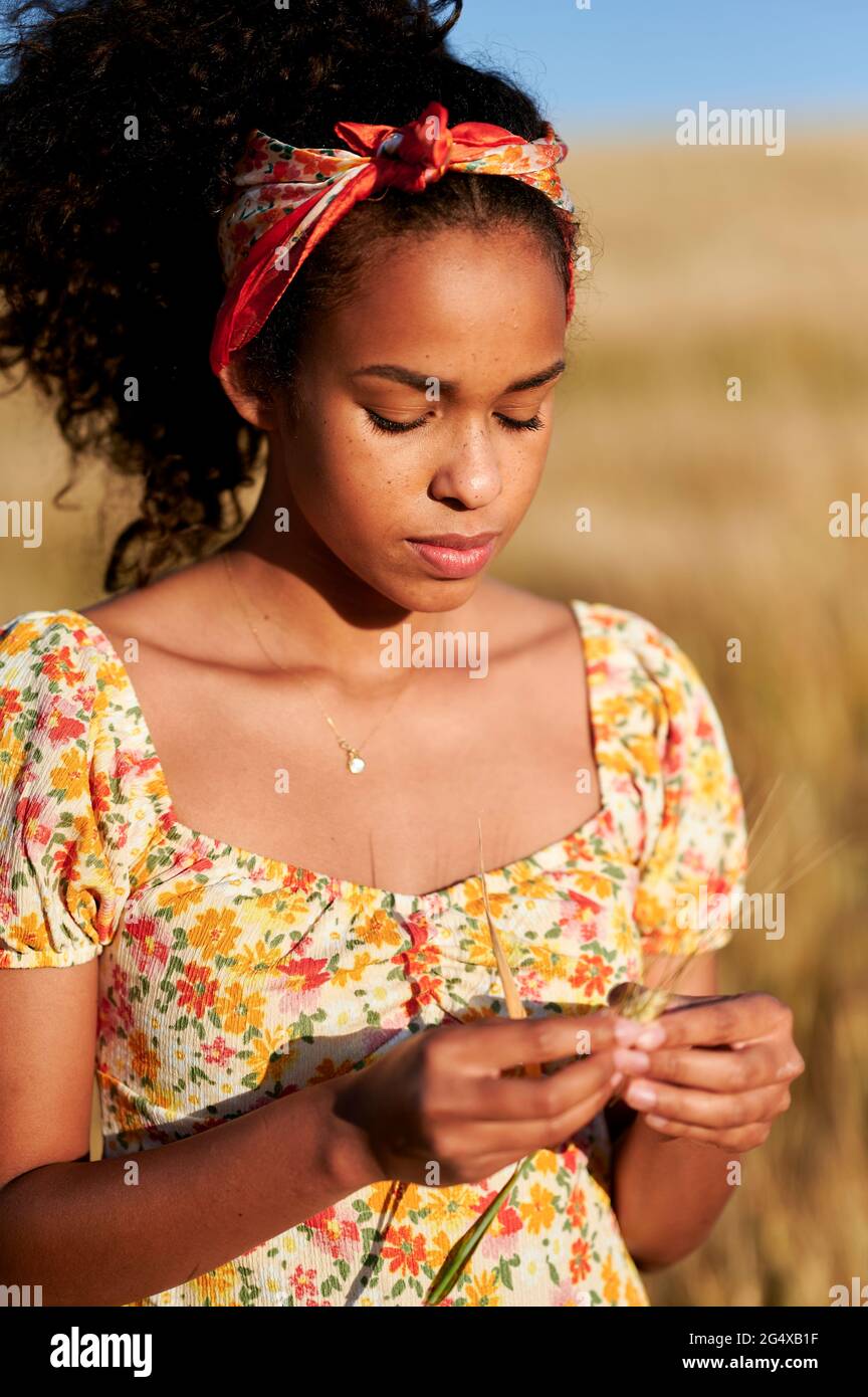 Giovane donna che tiene raccolto di grano in campo agricolo durante la giornata di sole Foto Stock
