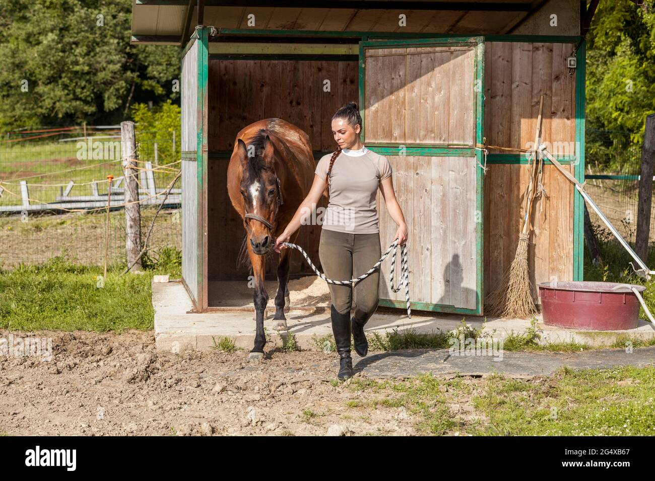 Donna che prende il cavallo fuori dal rifugio di legno Foto Stock
