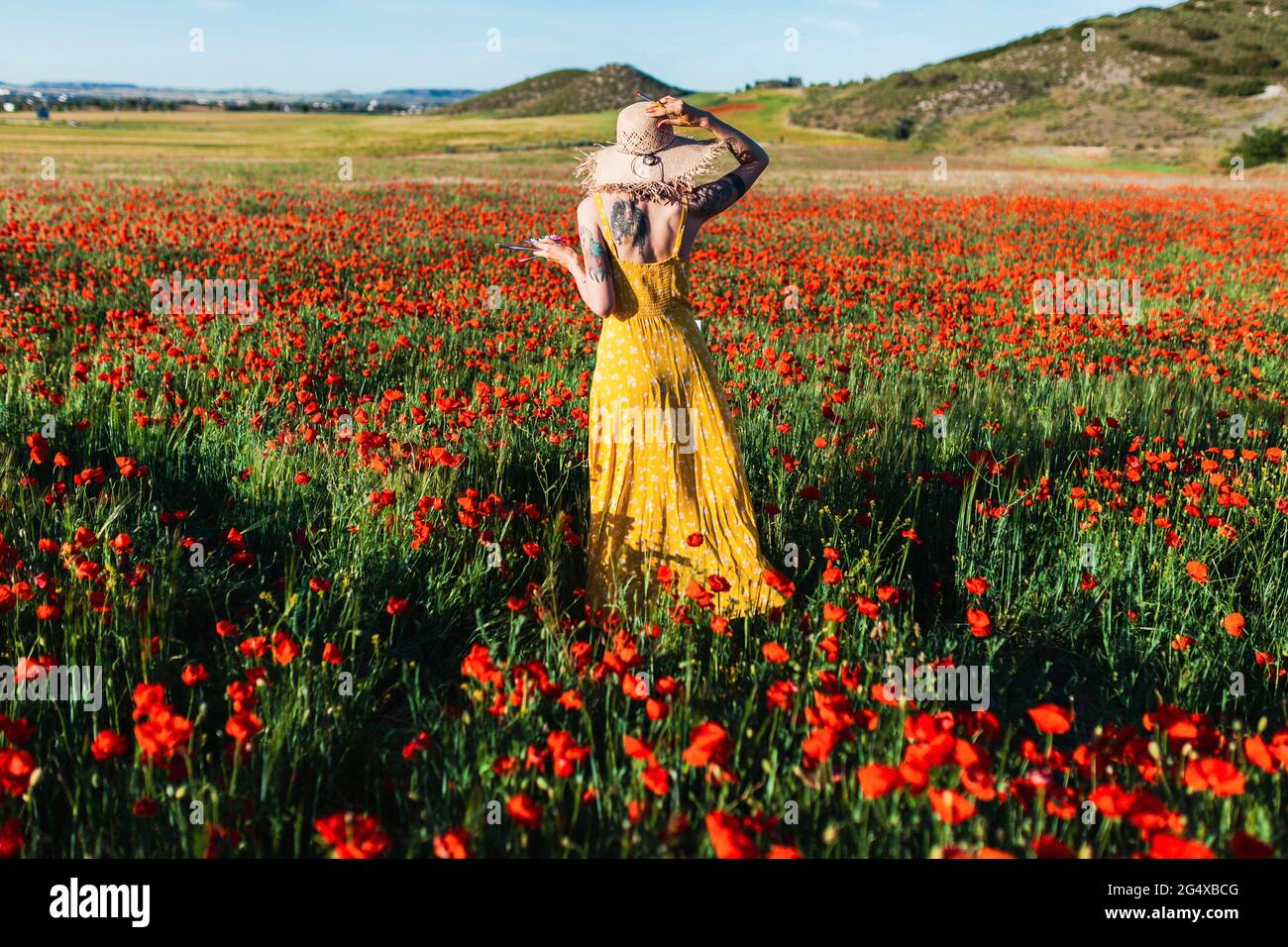Donna mid adulta in piedi intorno al fiore papavero a campo il giorno di sole Foto Stock