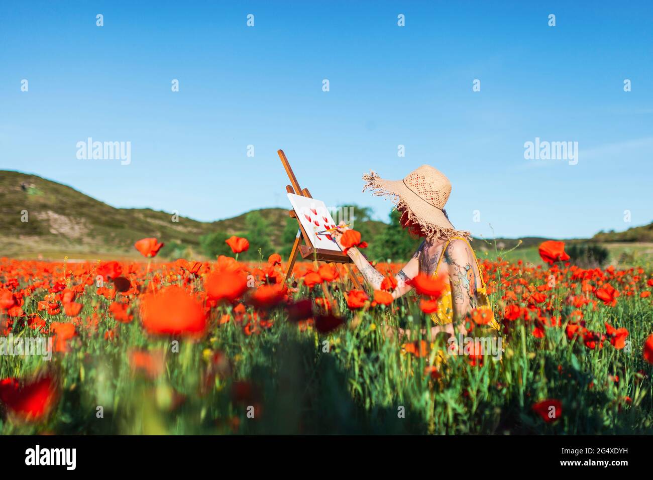 Donna pittura tra fiori di papavero su campo Foto Stock