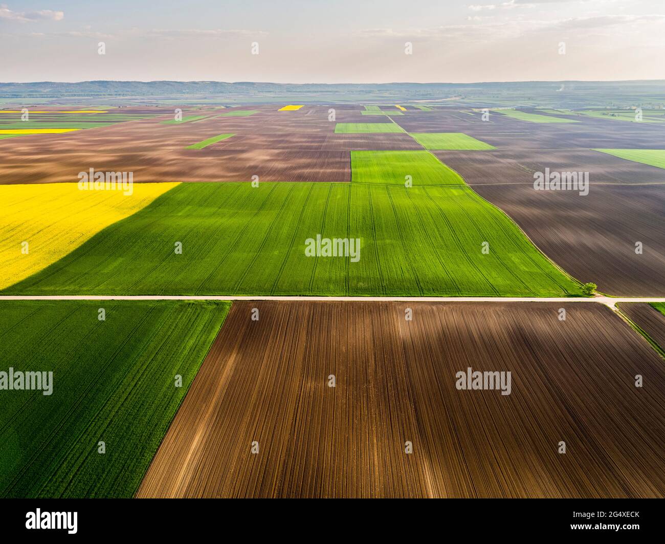 Vista aerea dei campi di patchwork in estate Foto Stock