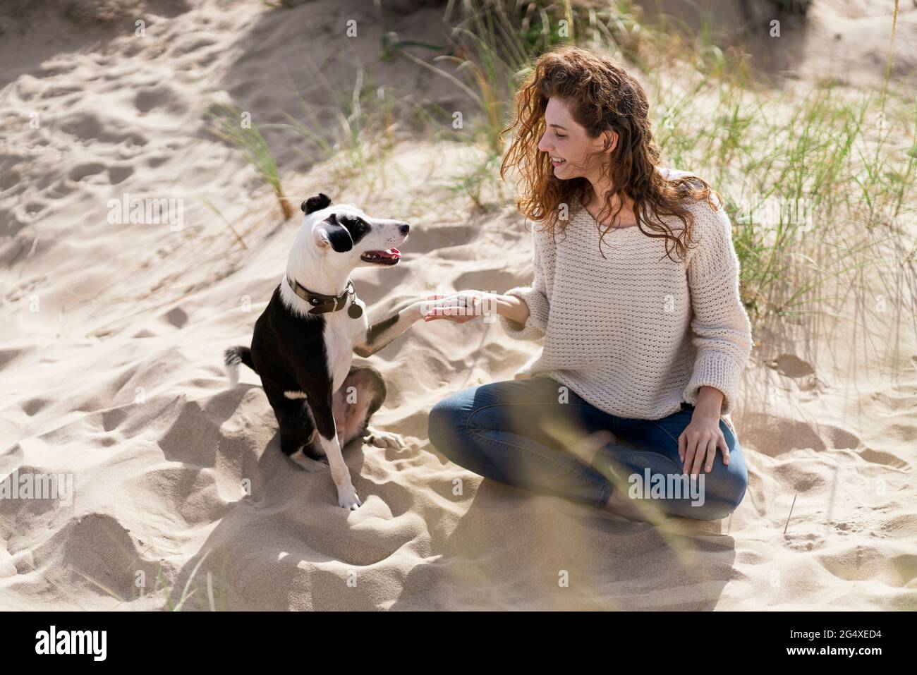 Donna che agita con Jack Russell Terrior sulla spiaggia di sabbia durante il giorno di sole Foto Stock