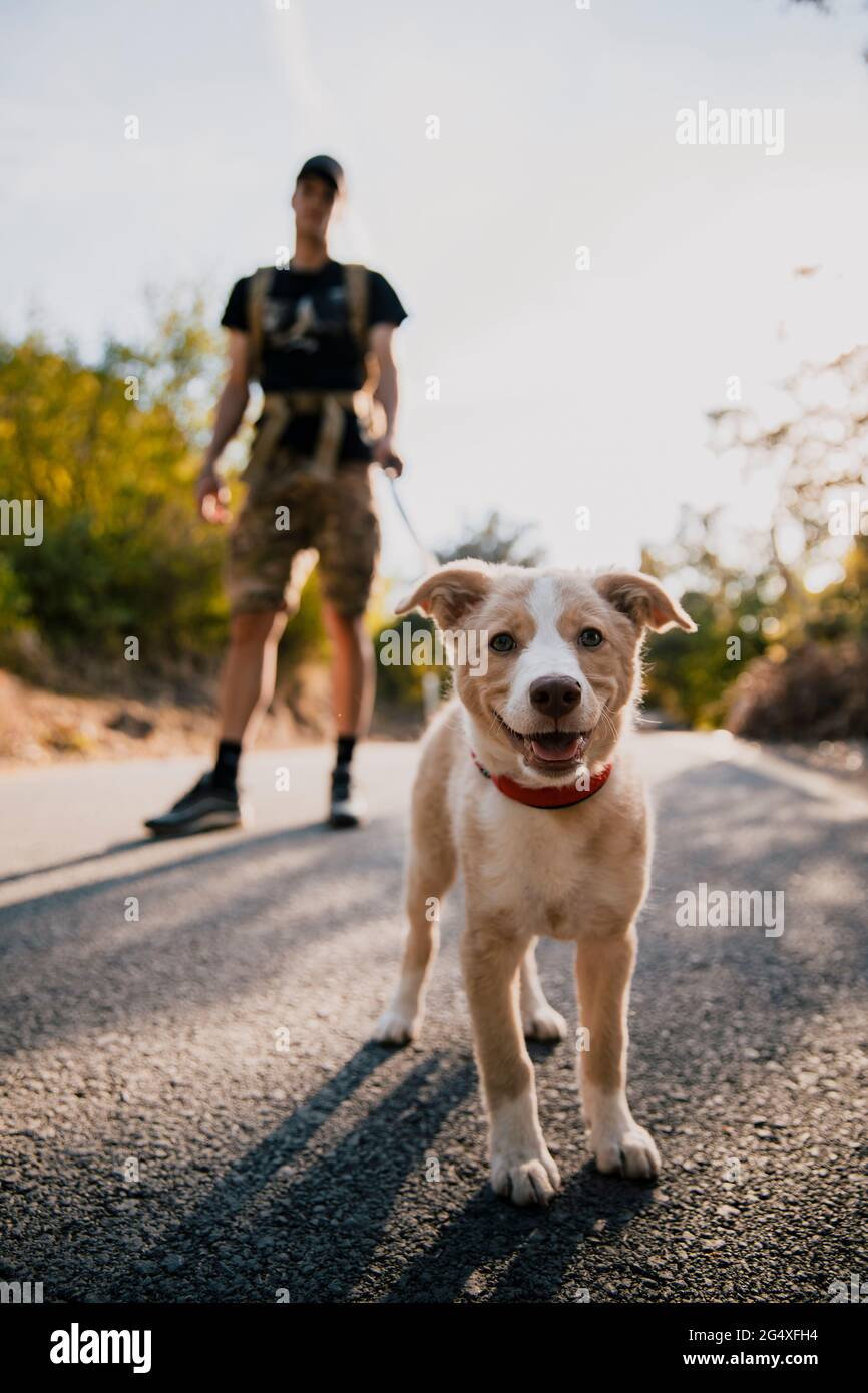 Giovane uomo trekking con il cane sul sentiero in natura Foto Stock