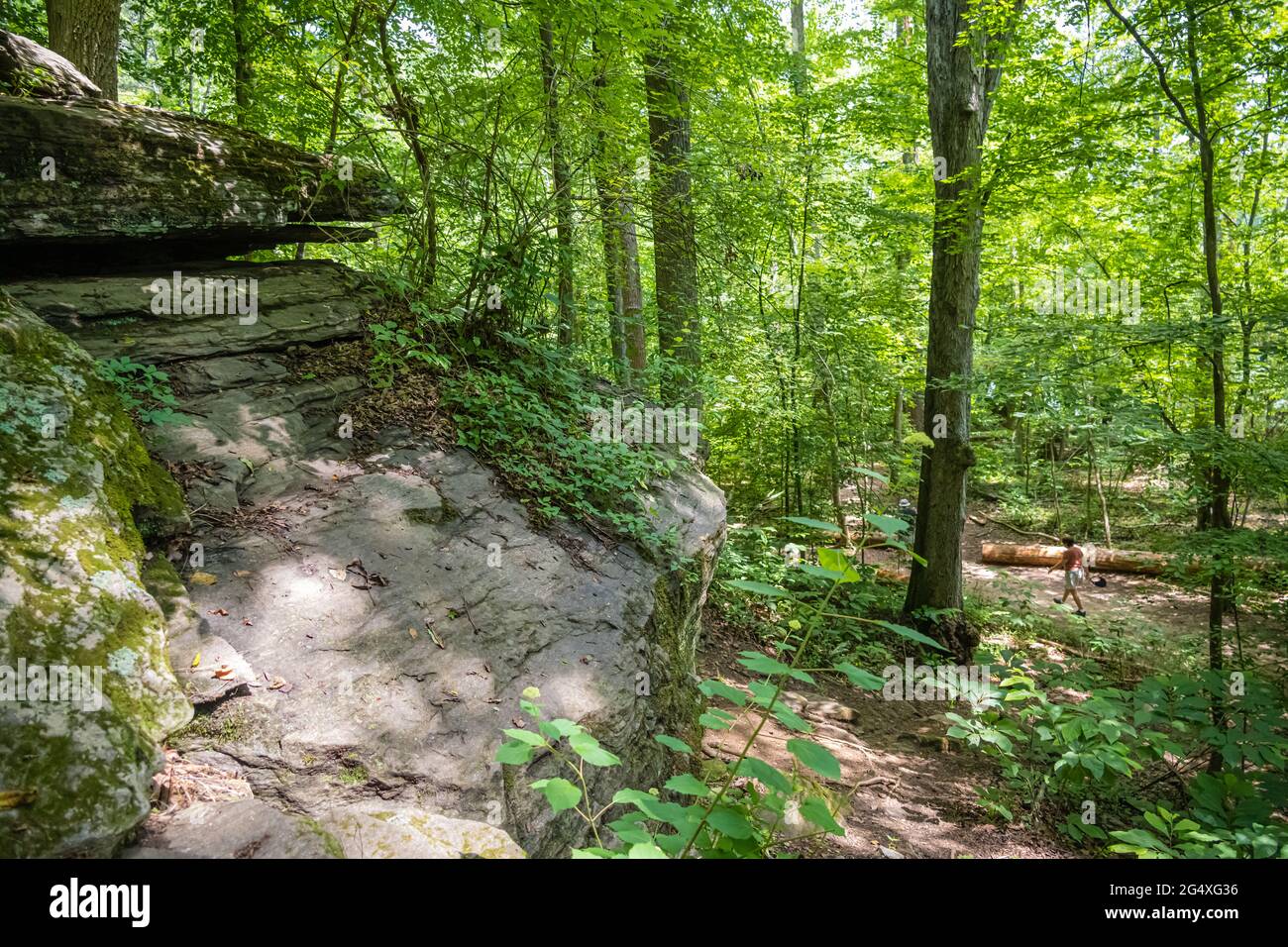 Coppia anziana che si gode il percorso a piedi lungo il fiume all'Island Ford Park nell'area ricreativa nazionale del fiume Chattahoochee, subito a nord di Atlanta, Georgia. Foto Stock