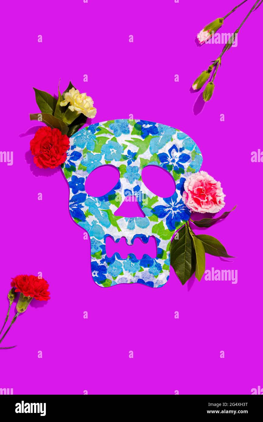 Studio di rose in fiore e maschera cranio blu decorata con motivi floreali Foto Stock
