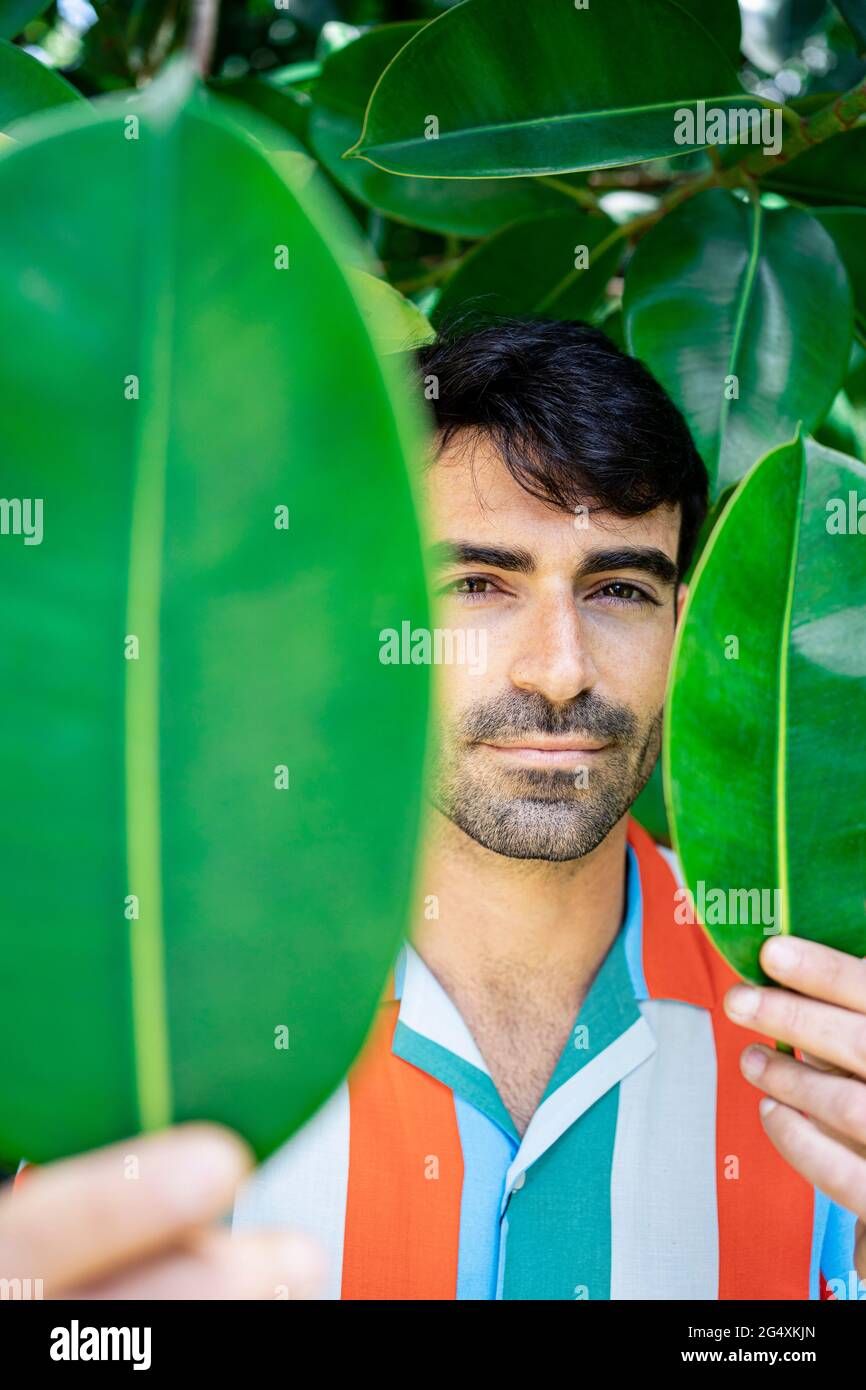 Bel giovane uomo che tiene foglie verdi Foto Stock