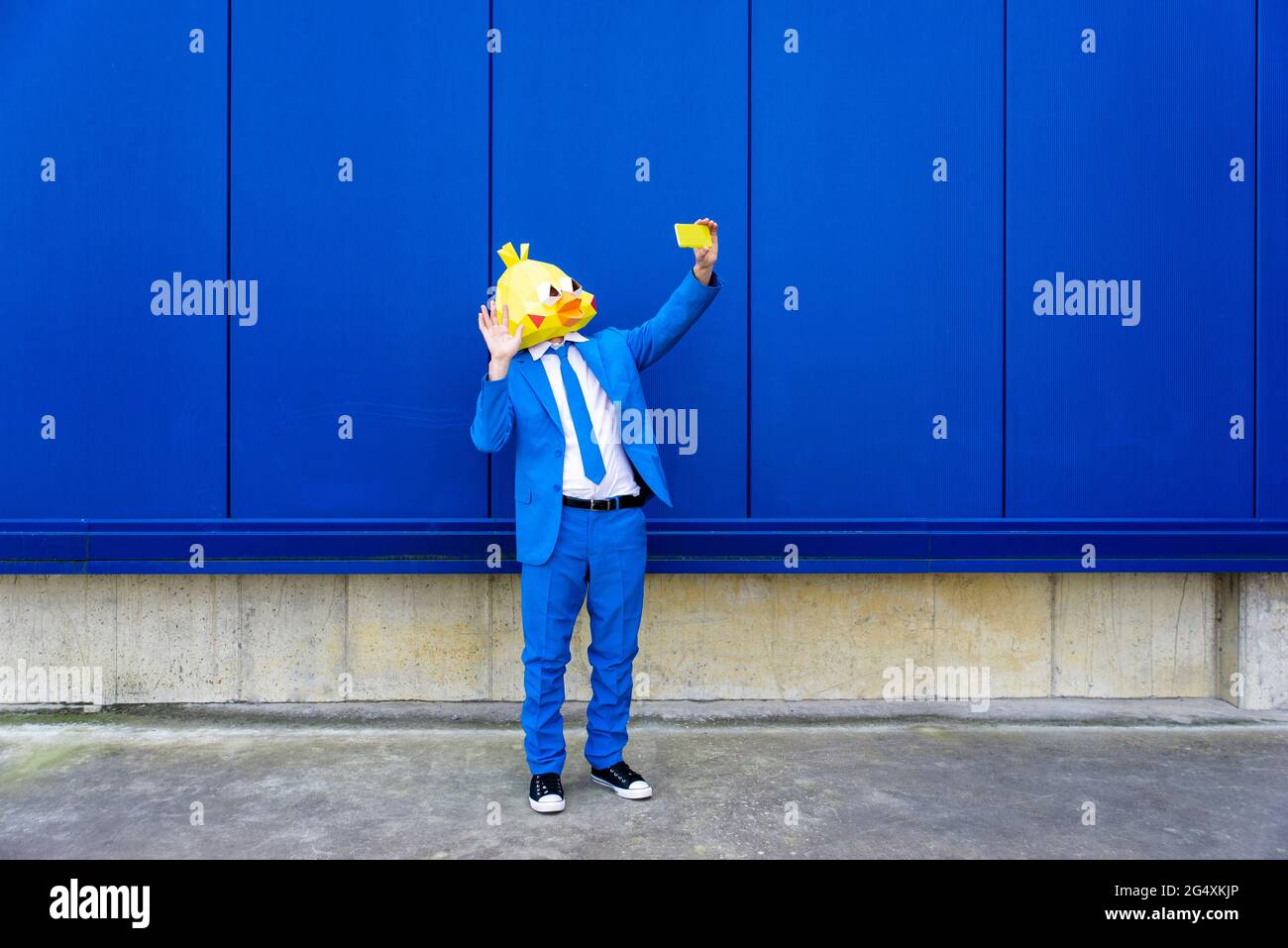 Uomo che indossa una vivace tuta blu e una maschera per uccelli che porta selfie smartphone davanti alla parete blu Foto Stock