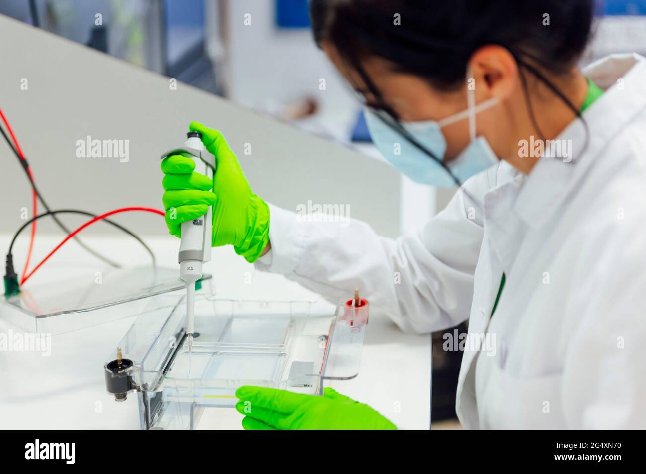 Esperto medico femminile che utilizza la pipetta su un apparecchio per elettroforesi durante l'analisi in laboratorio Foto Stock