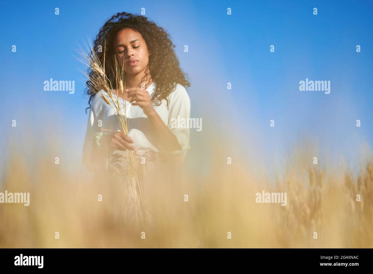 Giovane donna con grano raccolto in piedi in campo Foto Stock