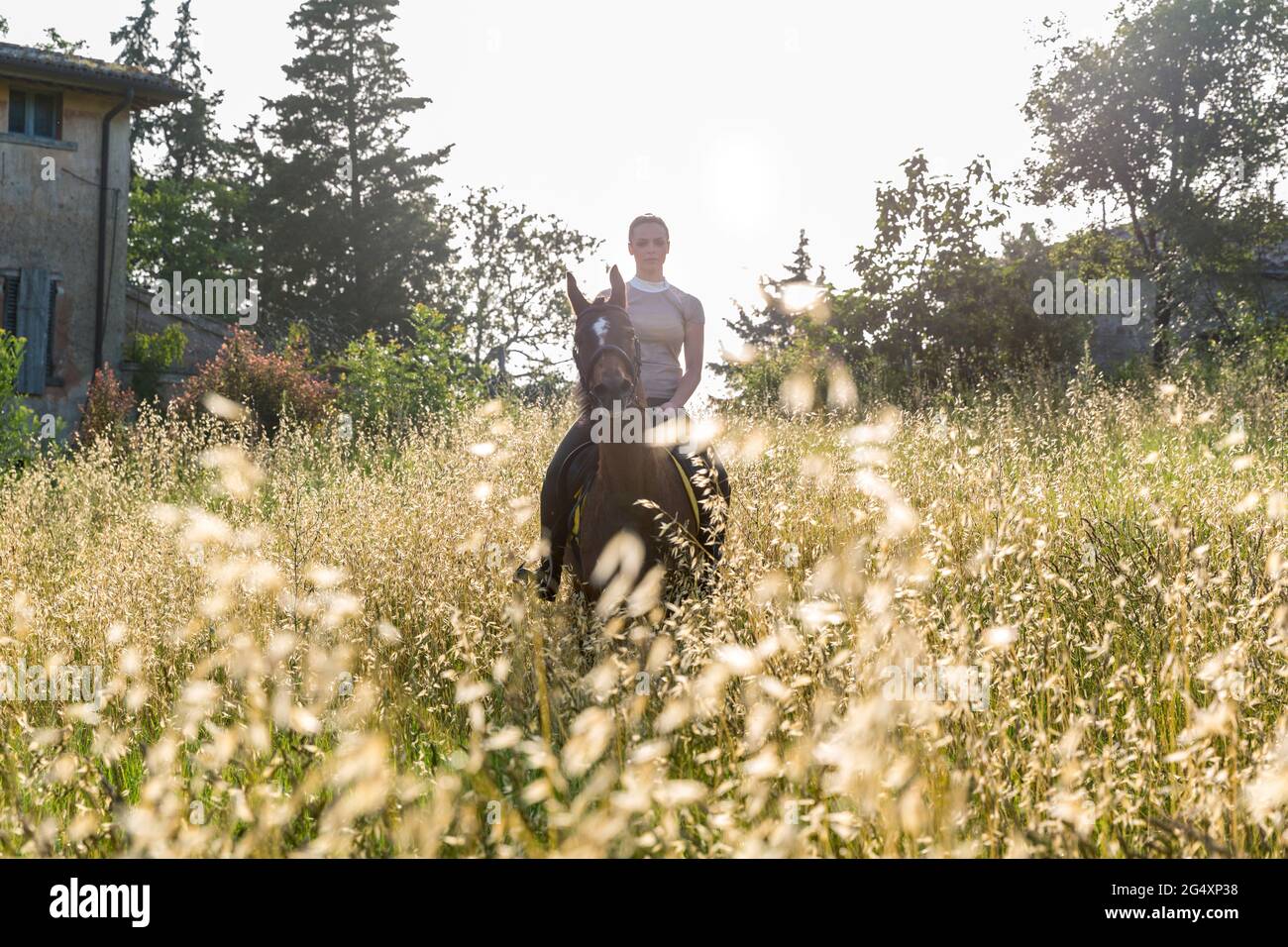 Donna che fa equitazione in giornata di sole Foto Stock