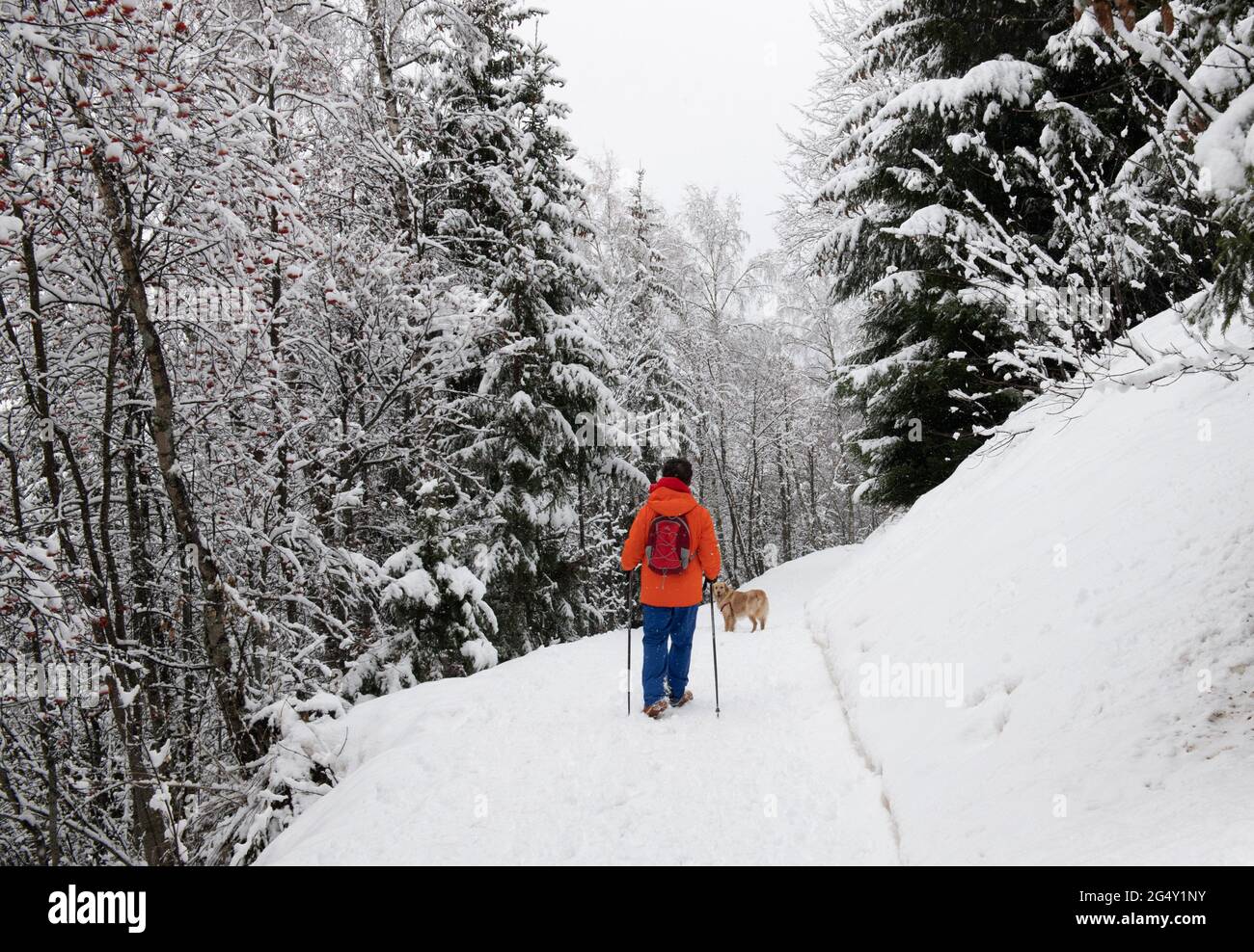 Les Deux Alpes (alpi francesi, Francia sud-orientale): La stazione sciistica coperta di neve in inverno. Attività ricreative durante l'epidemia di Coronavirus come sk Foto Stock