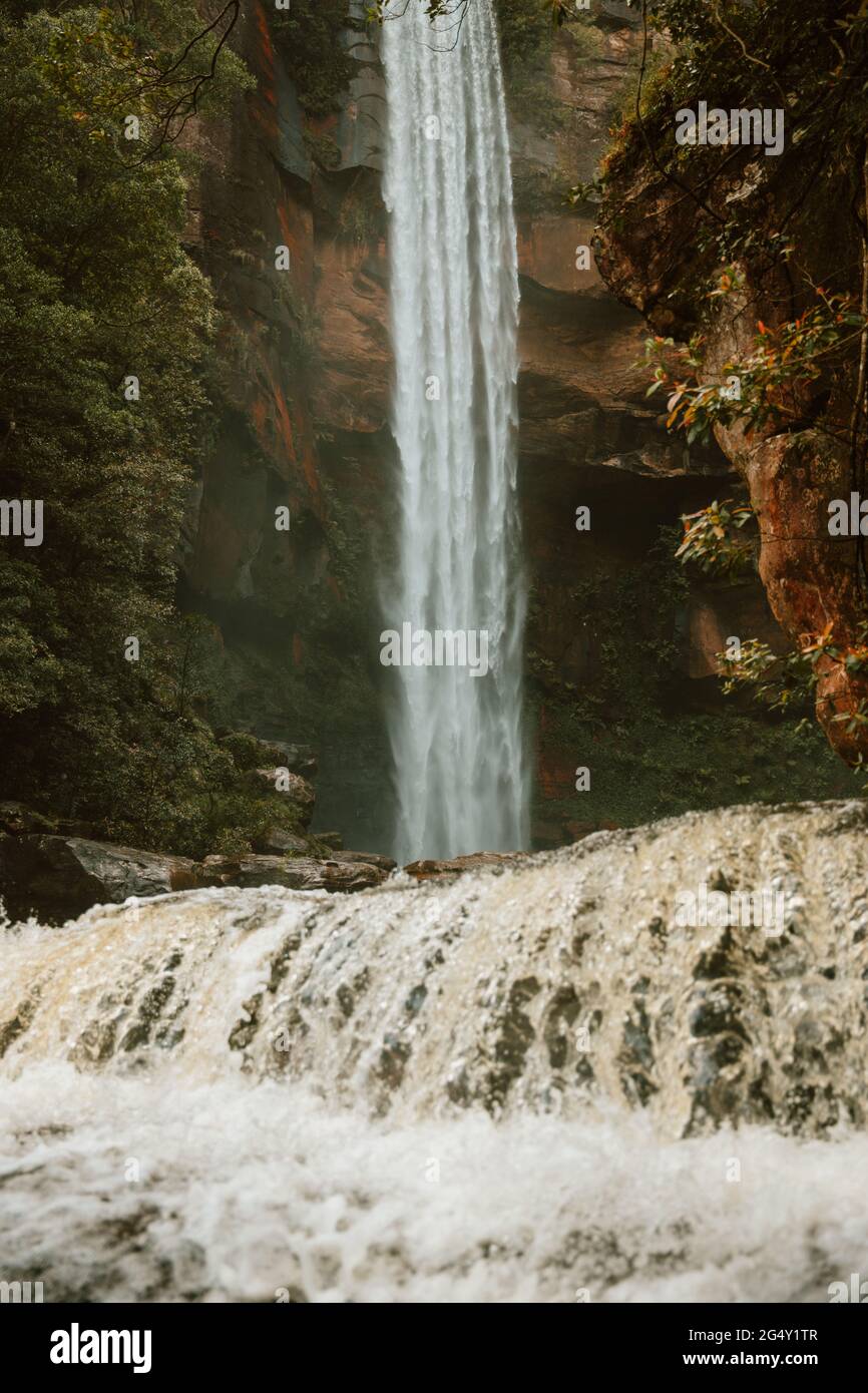 Una grande cascata in una foresta Foto Stock