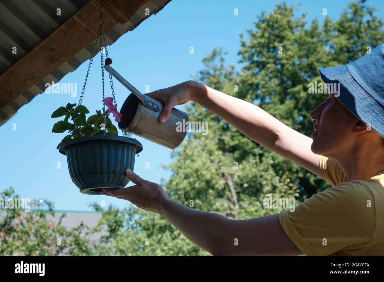 Donna annaffiatura fiori in giardino con annaffiatoio lattina. Giardinaggio domestico. Cura della pianta. Foto Stock