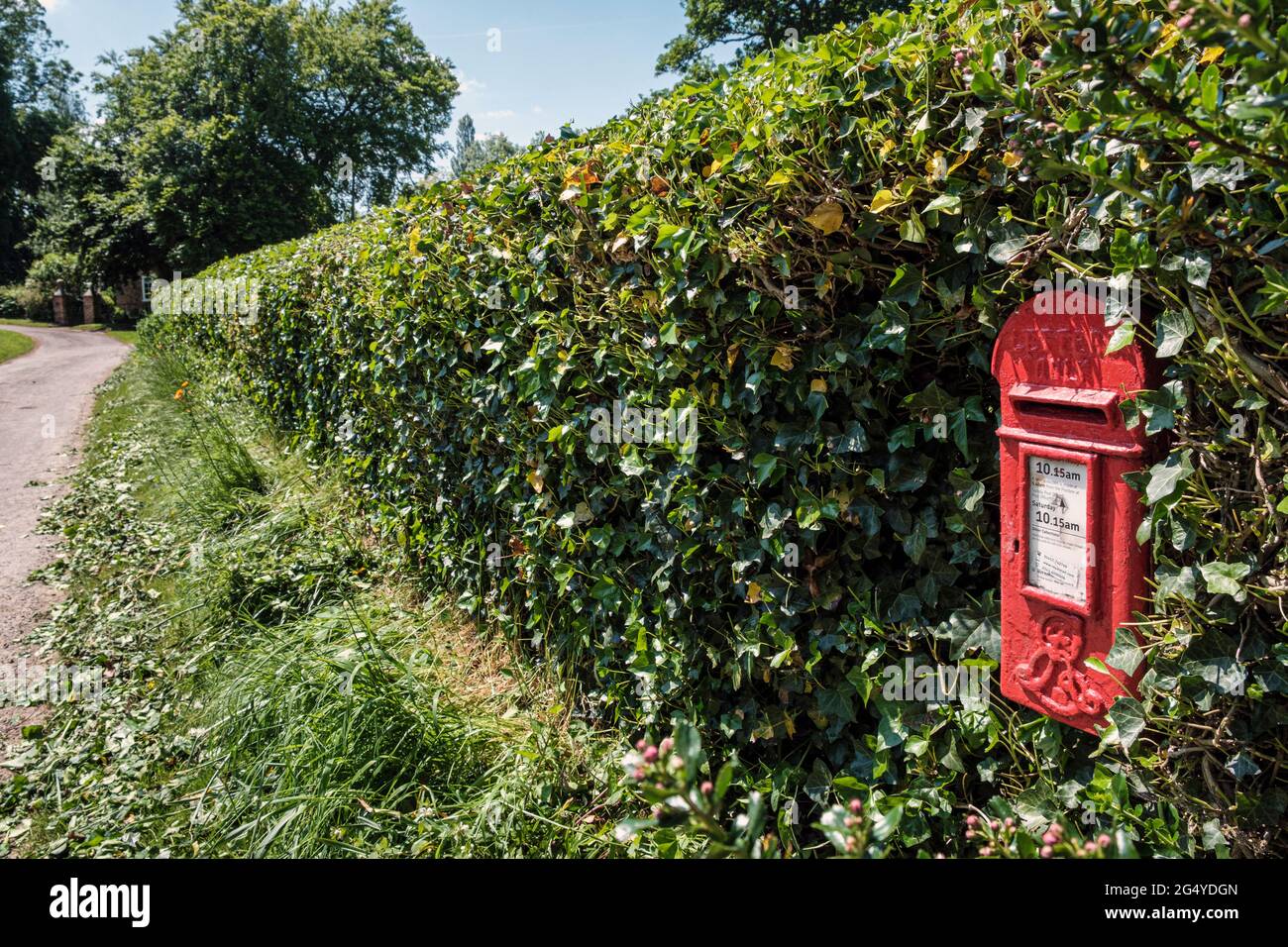 La casella postale villaggio immerso nella siepe a Bag Enderby, un borgo nel Lincolnshire Wolds Foto Stock