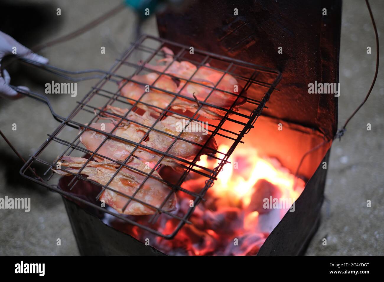 Un insieme di calamari secchi è stato grigliato da un venditore di spiaggia in Thailandia Foto Stock