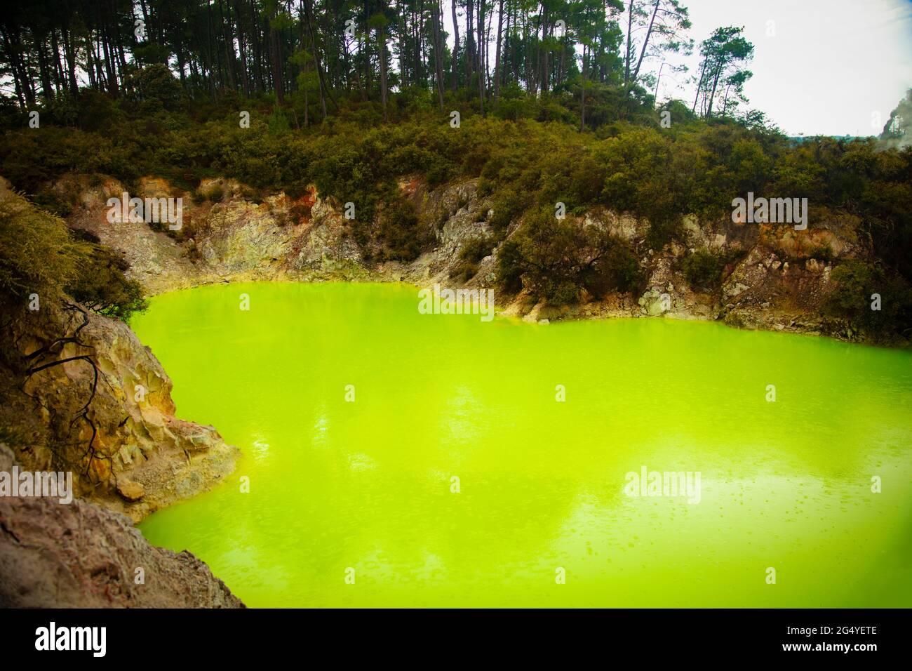 Waiotapu, anche spelt Wai-o-Tapu è un'area geotermica attiva all'estremità meridionale del Centro vulcanico Okataina, Rotorua, Nuova Zelanda Foto Stock