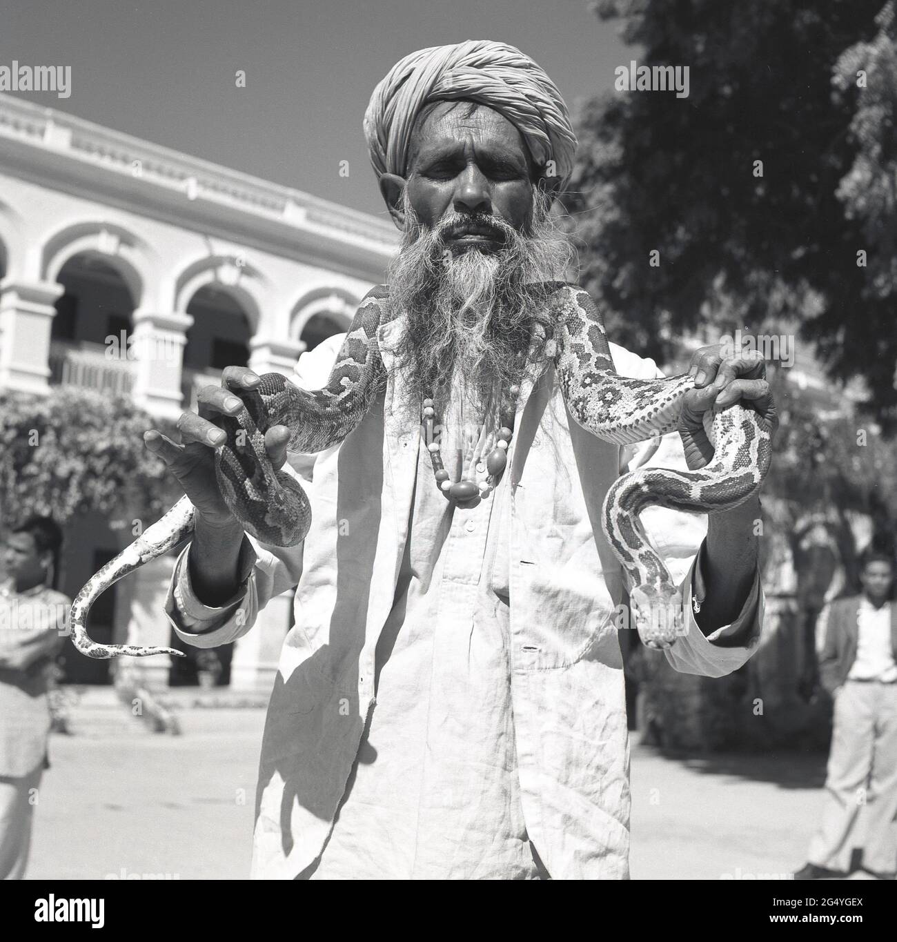 1950s, storico, in piedi per il suo fotolo un indiano con una lunga barba e con un turbante, un incantatore di serpenti, con un serpente, un pitone, intorno al collo, India. Foto Stock
