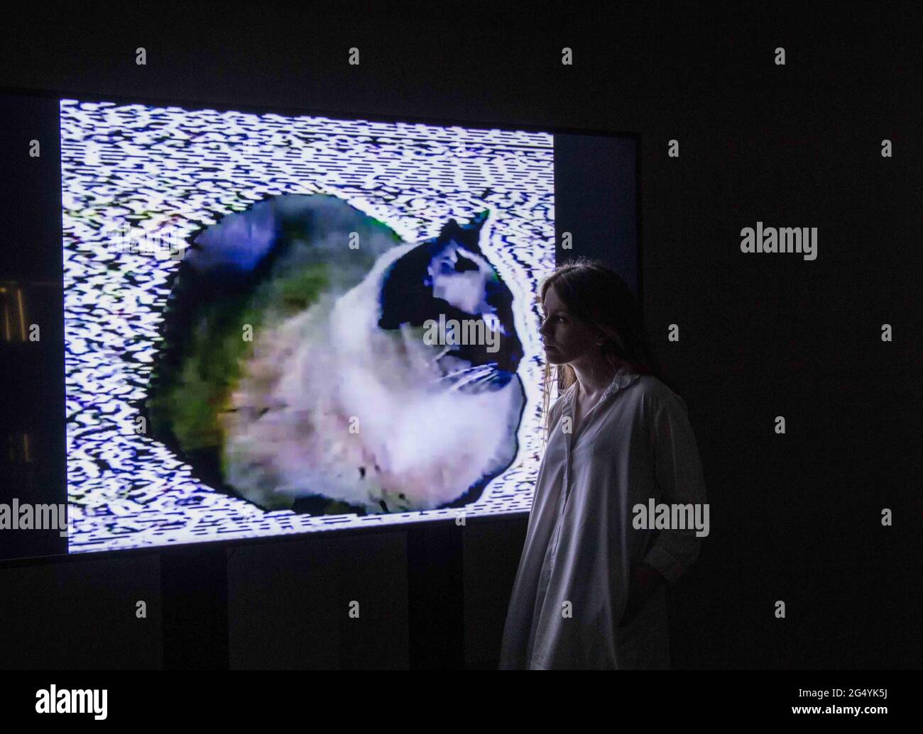 Londra UK 24 giugno 2021 Bonhams ospiterà la prima collaborazione curata al mondo tra una piattaforma di arte digitale e una casa d'aste, offrendo per la prima volta una vendita esclusiva di NFT, dal titolo CryptOG: The Pioneers of NFT Art, sarà il primo a mettere in risalto le opere d'arte uniche dei creatori – The OG – di Crypto Art, e si terrà online dal 21-30 giugno bonhams.com. Bonhams accetterà anche il pagamento in Ethereum per questa asta. Le opere saranno inoltre proiettate presso la sede centrale di Bonhams a New Bond Street durante la Contemporary Art Week, che si concluderà con il Modern & Contemporary di Bonhams Foto Stock