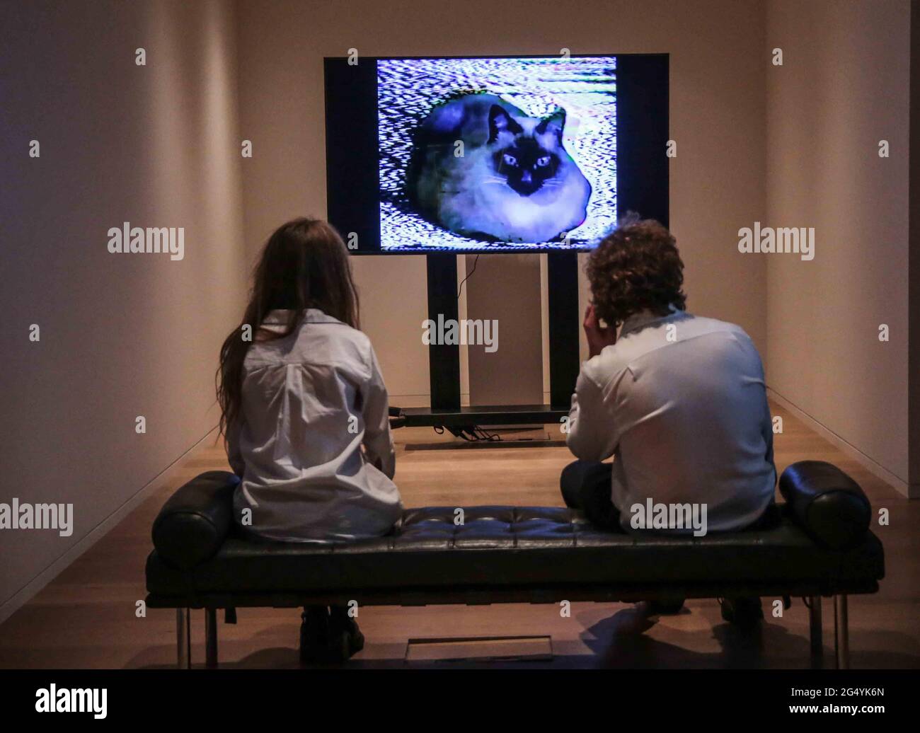 Londra UK 24 giugno 2021 Bonhams ospiterà la prima collaborazione curata al mondo tra una piattaforma di arte digitale e una casa d'aste, offrendo per la prima volta una vendita esclusiva di NFT, dal titolo CryptOG: The Pioneers of NFT Art, sarà il primo a mettere in risalto le opere d'arte uniche dei creatori – The OG – di Crypto Art, e si terrà online dal 21-30 giugno bonhams.com. Bonhams accetterà anche il pagamento in Ethereum per questa asta. Le opere saranno inoltre proiettate presso la sede centrale di Bonhams a New Bond Street durante la Contemporary Art Week, che si concluderà con il Modern & Contemporary di Bonhams Foto Stock