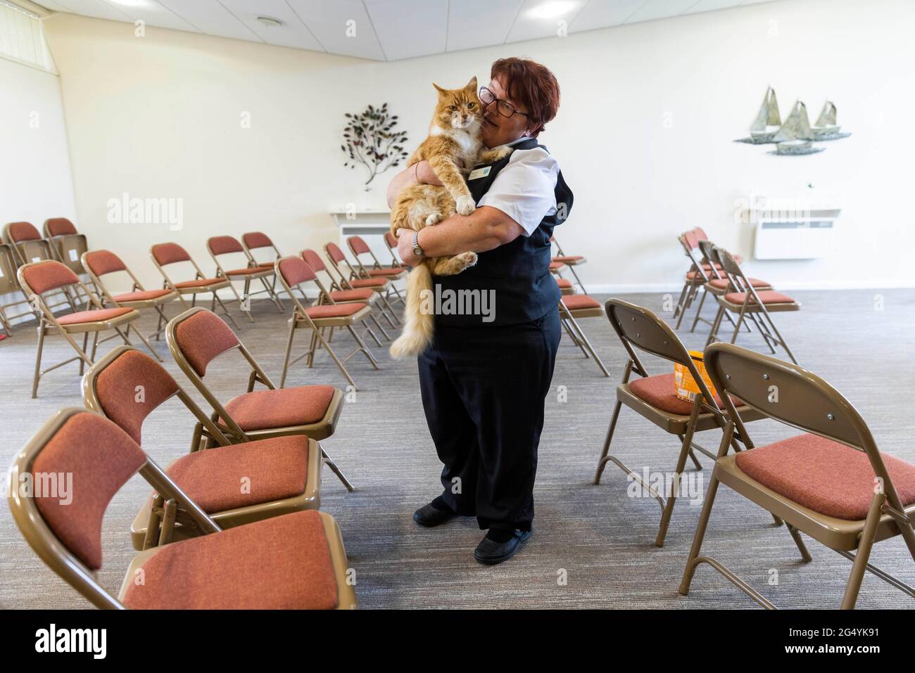 USO EDITORIALE SOLO Paddy, di proprietà di Christina Jones e Stuart Hague da Wirral, è stato nominato nella categoria 'Most Caring Cat' in quest'anno Cats Protection National Cat Awards, sponsorizzato da Purina, raffigurato con arrangiatore funerale, Yvonne Robinson al Mayfields Remembrance Park di Eastham. Data di emissione: Giovedì 24 giugno 2021. Foto Stock