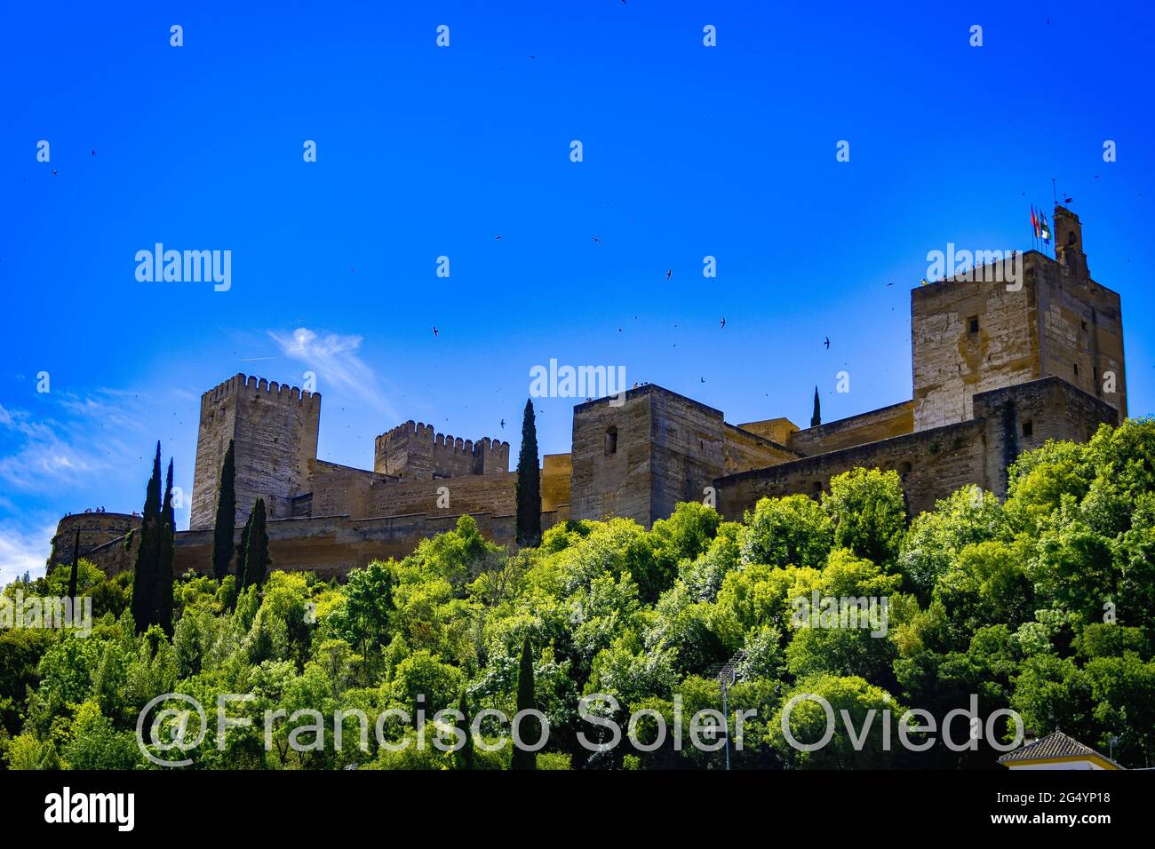 La Alhambra de Granada situada en la parte más occidental del cerro de Sabika, de planta trapezoidal algo errat, constituía la zona militar, Foto Stock