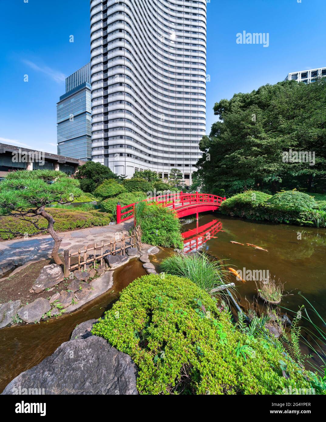 tokyo, giappone - luglio 24 2020: Carpe giapponesi che nuotano nello stagno Seisen-ike dell'Hotel New Otani Giardino Giapponese attraversato da un tradizionale Taikob rosso Foto Stock