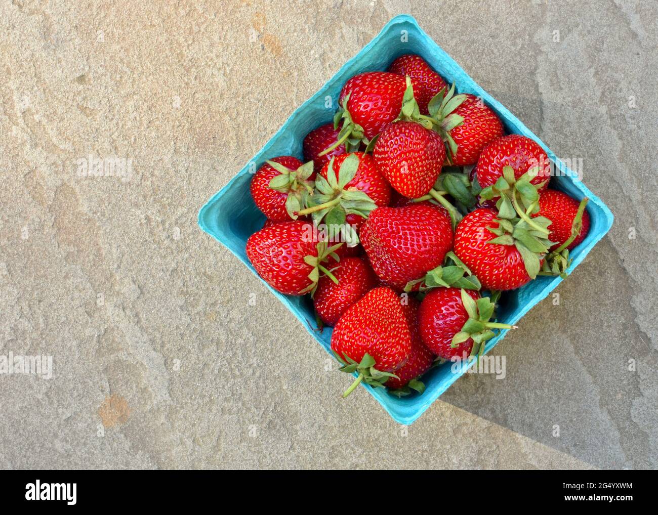 Una scatola di quart di fragole appena raccolte su sfondo grigio ardesia. Orizzontale. Primo piano. Spazio di copia. Foto Stock