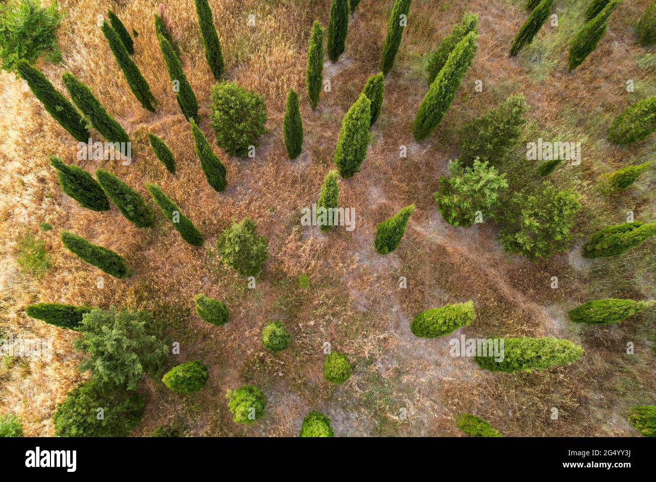 Bella vista della foresta toscana Italia dall'alto fotografata con un drone.  Fotografia dei droni, Toscana, Siena Foto stock - Alamy