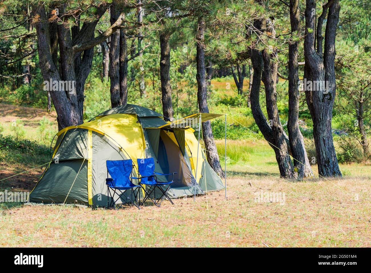 tenda da campeggio e un paio di sedie in un luogo pittoresco tra i pini Foto Stock