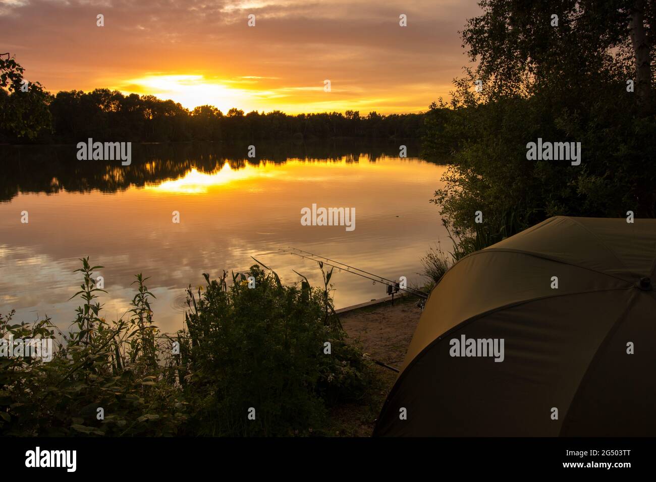 Tranquilla sessione di pesca al tramonto con carpe. Cielo dell'ora d'oro e acqua calma con canne da pesca e bivvy. Pesca di carpe nel Regno Unito Foto Stock