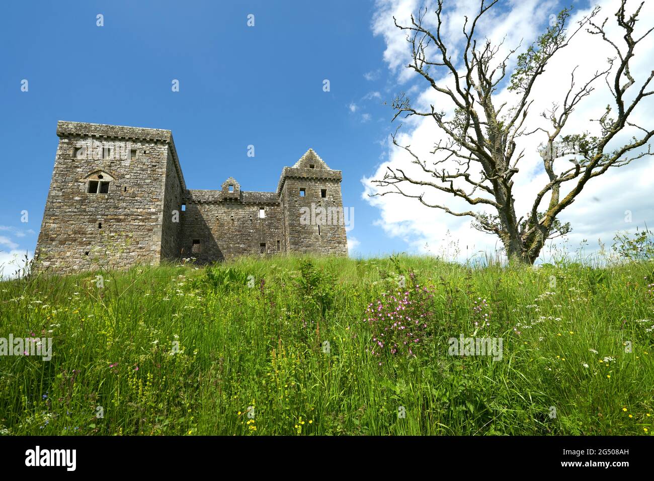 Hermitage Castle un castello semi-rovinato nella regione di confine della Scozia. È sotto la cura della Scozia storica. Il castello ha una reputazione, bot Foto Stock