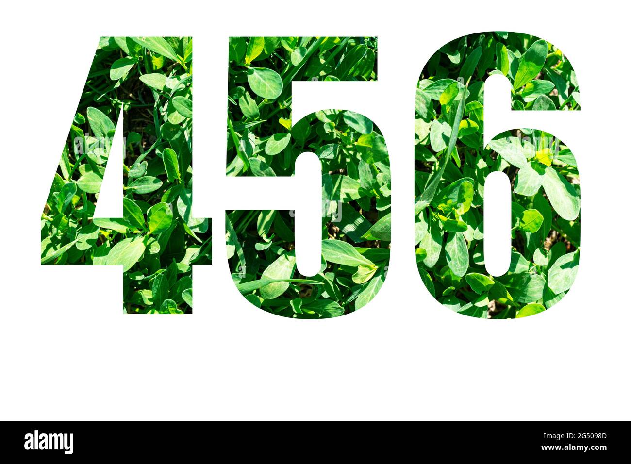 Numeri 4 5 6 da erba verde isolata su sfondo bianco. Elementi per il tuo progetto. Foto Stock