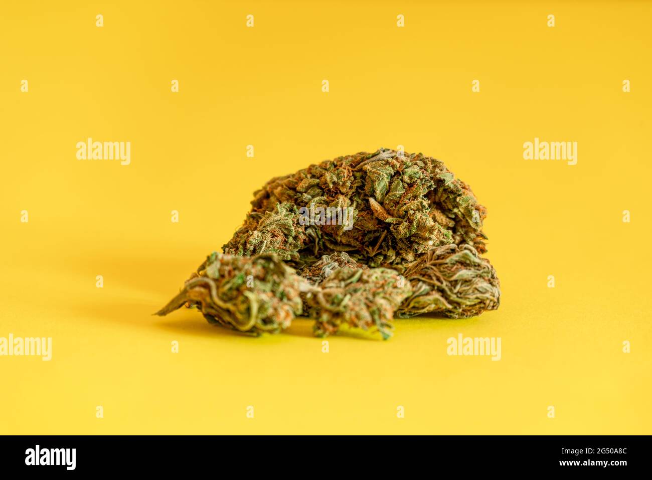 Cannabis marihuana con erbacce mediche su sfondo giallo brillante Foto Stock