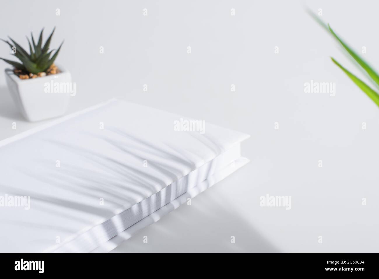 libro con copertina rigida vicino verde sfocato pianta su bianco Foto Stock