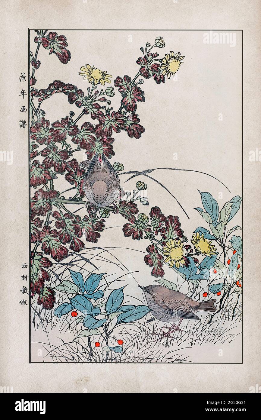 Incisione di Imao Keinen. 1892 Keinen kachōgafu fuyu no bu (12) Foto Stock