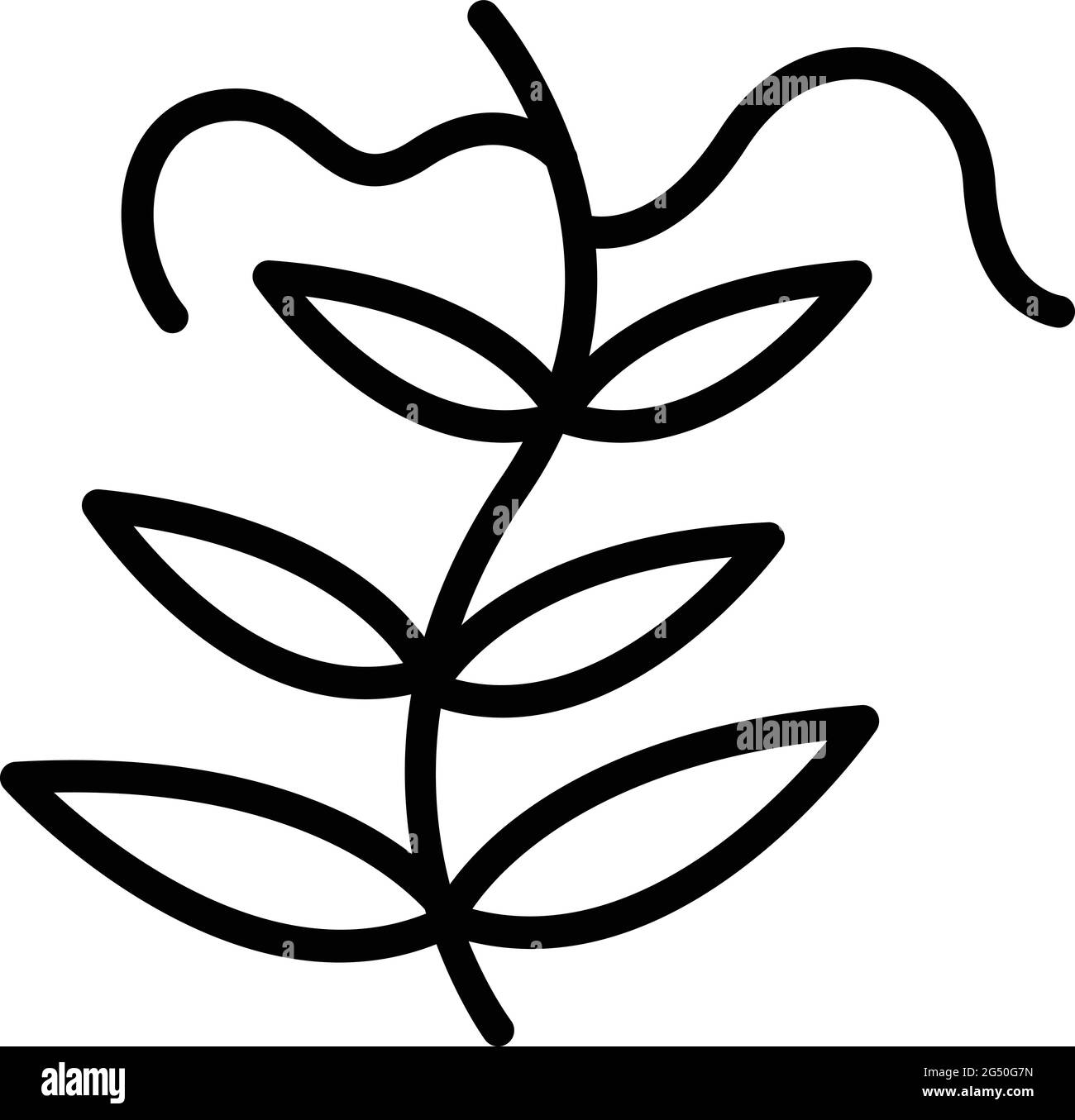 Icona pianta giardino lenticchie. Contorno Lentil giardino pianta vettore icona per web design isolato su sfondo bianco Illustrazione Vettoriale